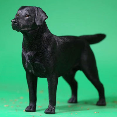 MRZ025 Sixth Scale Labrador dog decor from JXK Studio