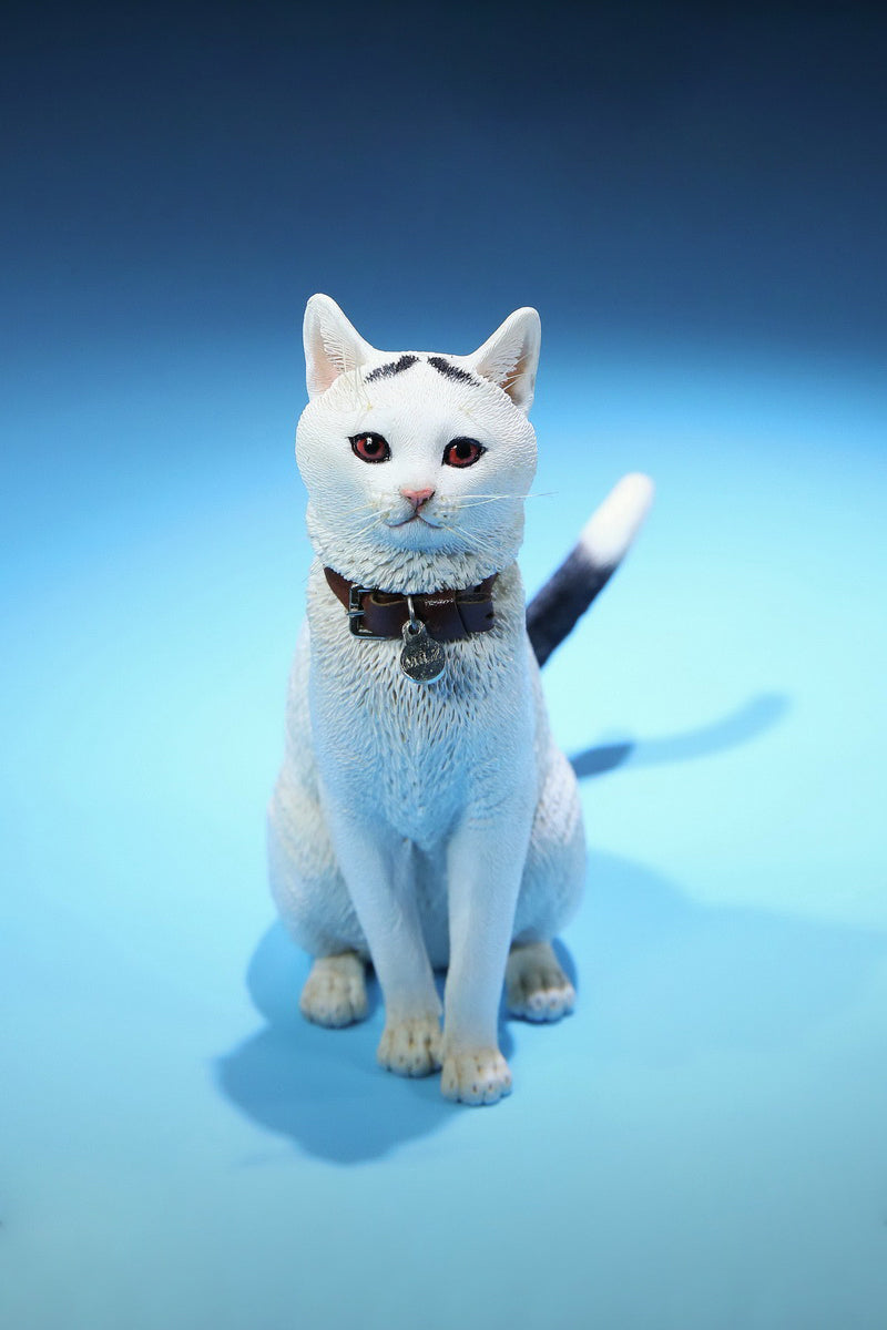 MRZ036 Chinese Cat statue from JXK Studio