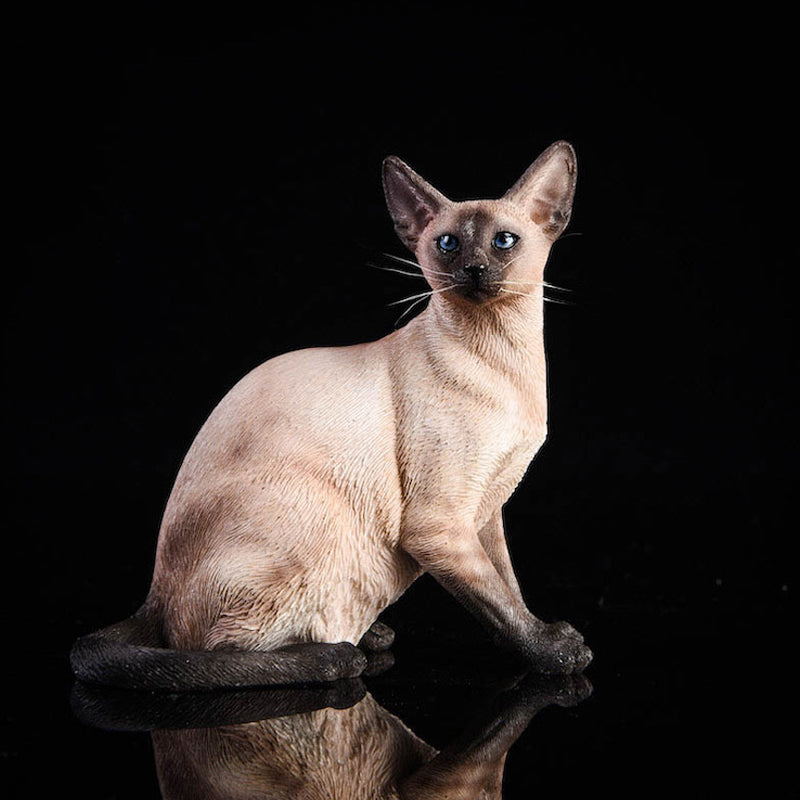 JXK017 Siamese Cat Figurine Resin Cat Statue Decor for Desktop Gifts for Cat Lovers from JXK Studio