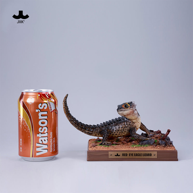JXK305 Per-sale Tribolonotus gracilis from JXK Studio