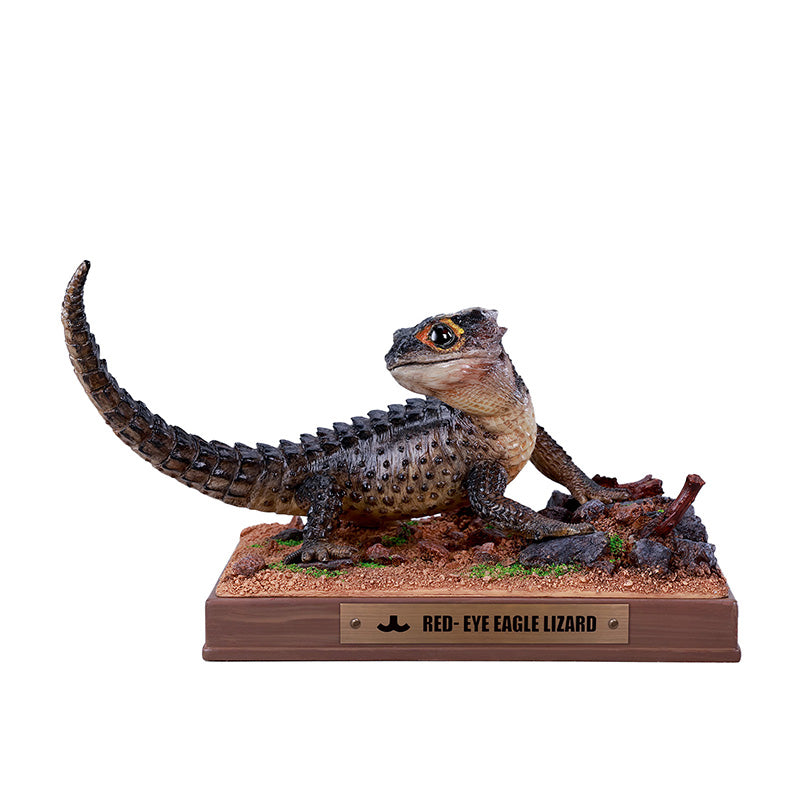 JXK305 Per-sale Tribolonotus gracilis from JXK Studio