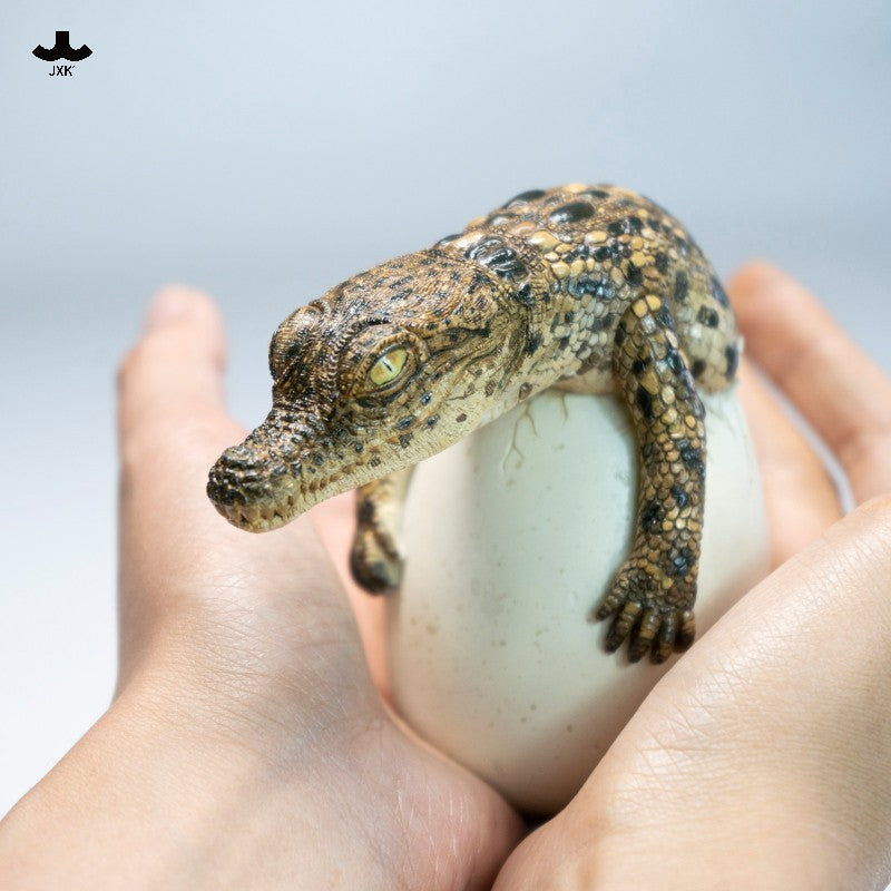 JXK319 Pre-sale Hatchling Crocodile from JXK Studio