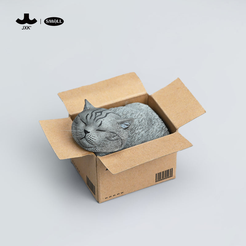 JS2213 Cat Figurine Cat in Box Decor from JXK Studio