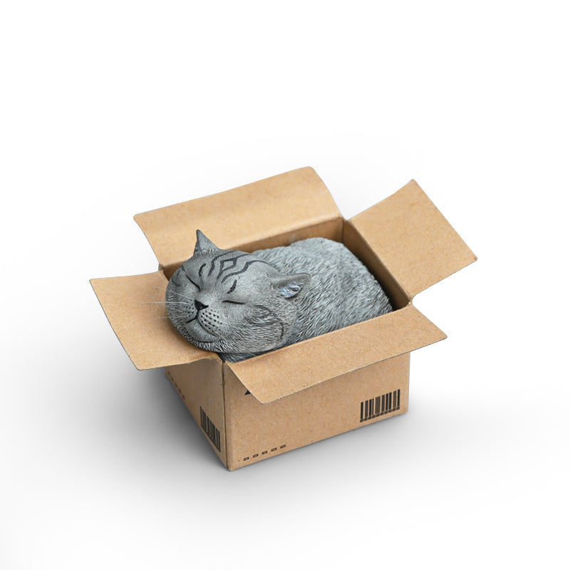 JXK Small JS2213 Cat in Delivery Box Resin Figurine - product image 1