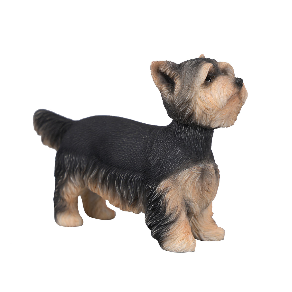 JXK229 1/6 Yorkshire Terrier Figurine and Cloak Options - product image 12