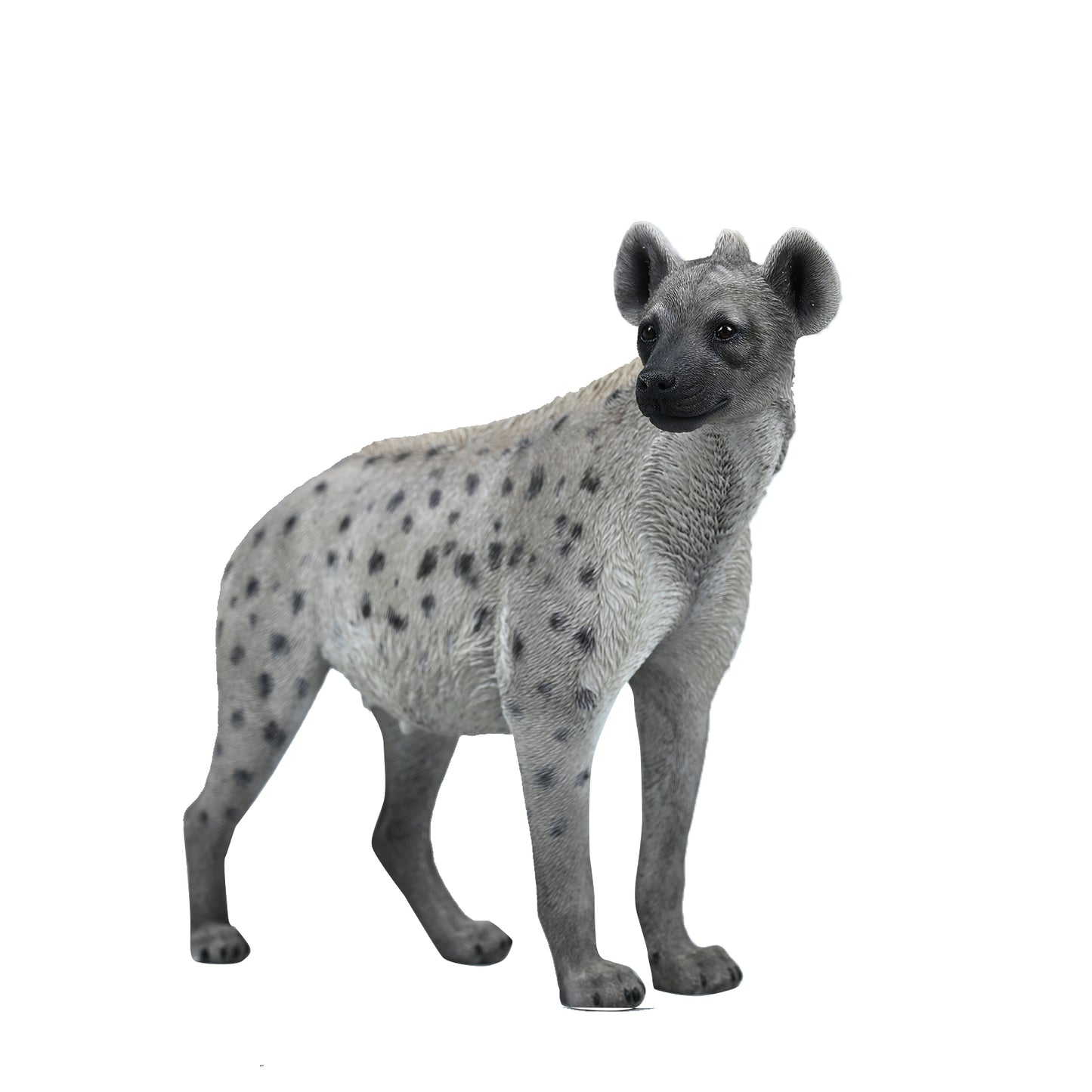 JXK215 1/6Hyena  from JXK Studio