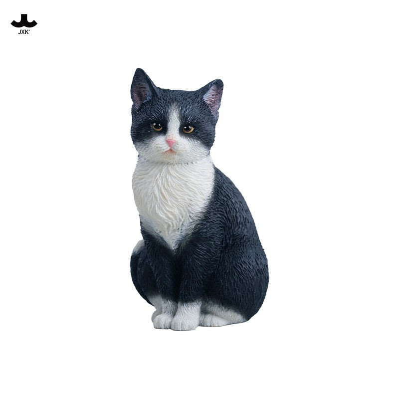 Cat – JXK Studio