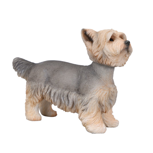 JXK229 1/6 Yorkshire Terrier FigurineProduct JXK Studio出品