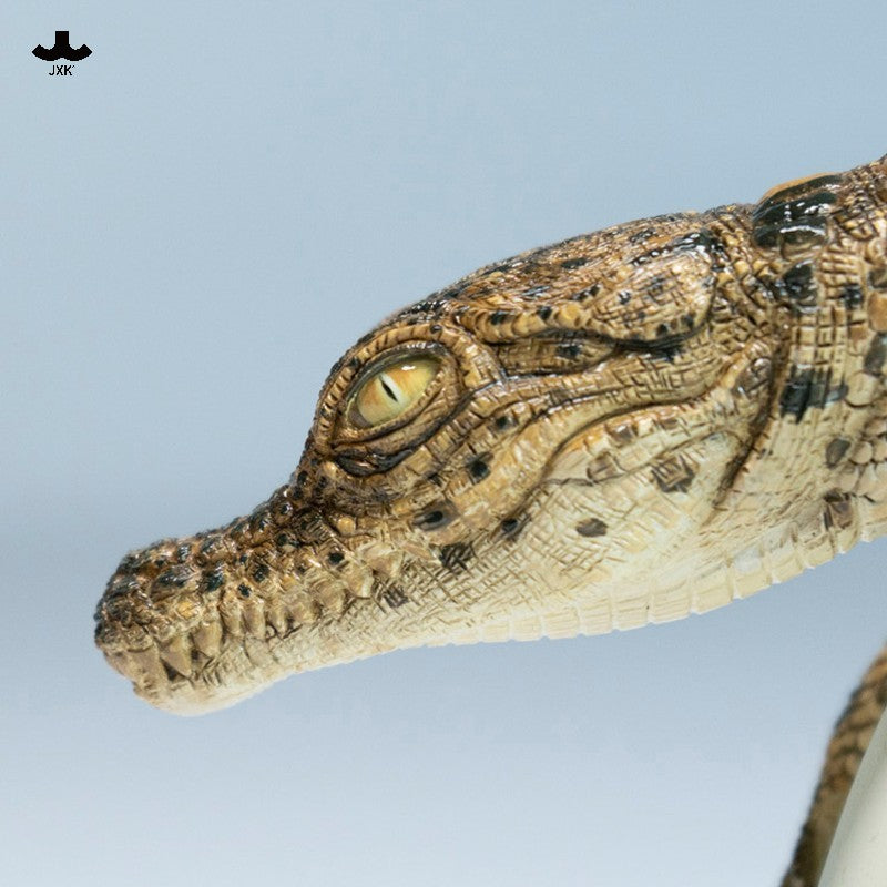 JXK319 Pre-sale Hatchling Crocodile from JXK Studio