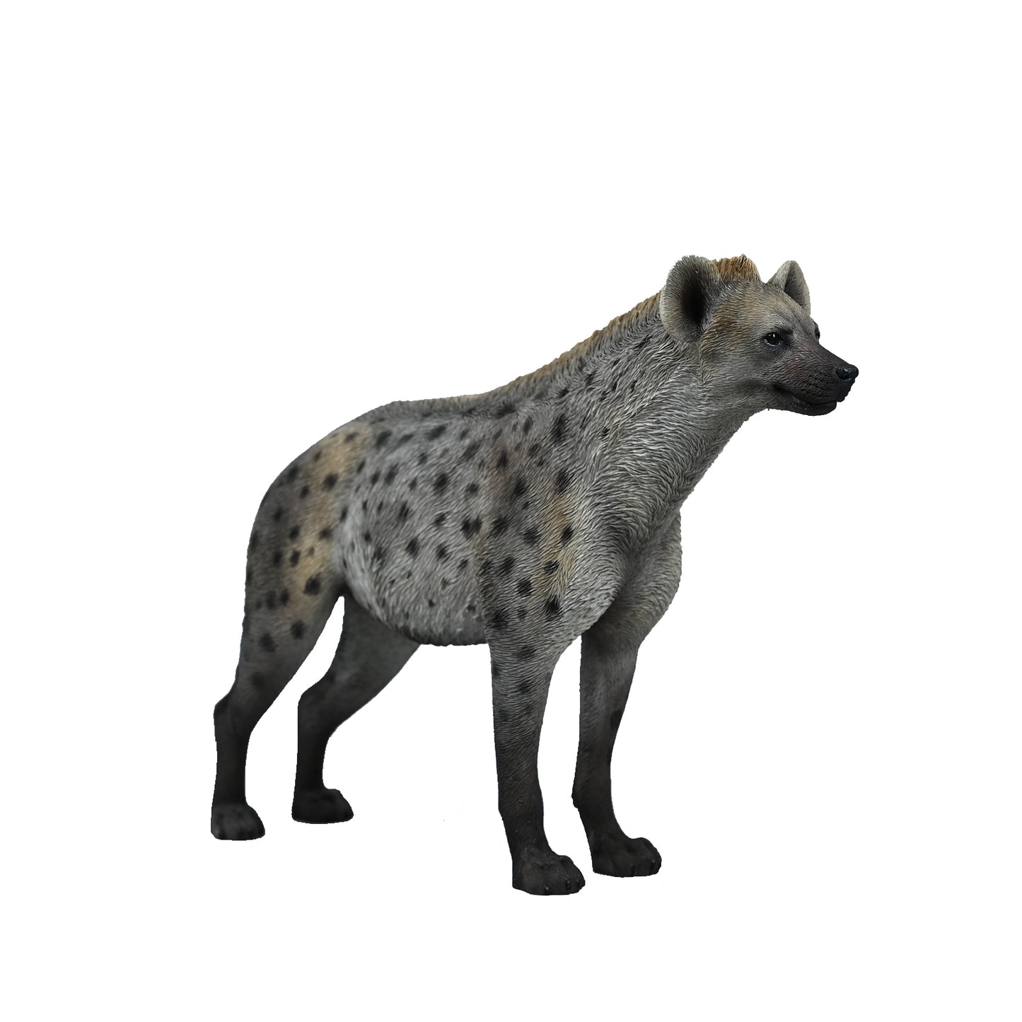 JXK215 1/6Hyena  from JXK Studio