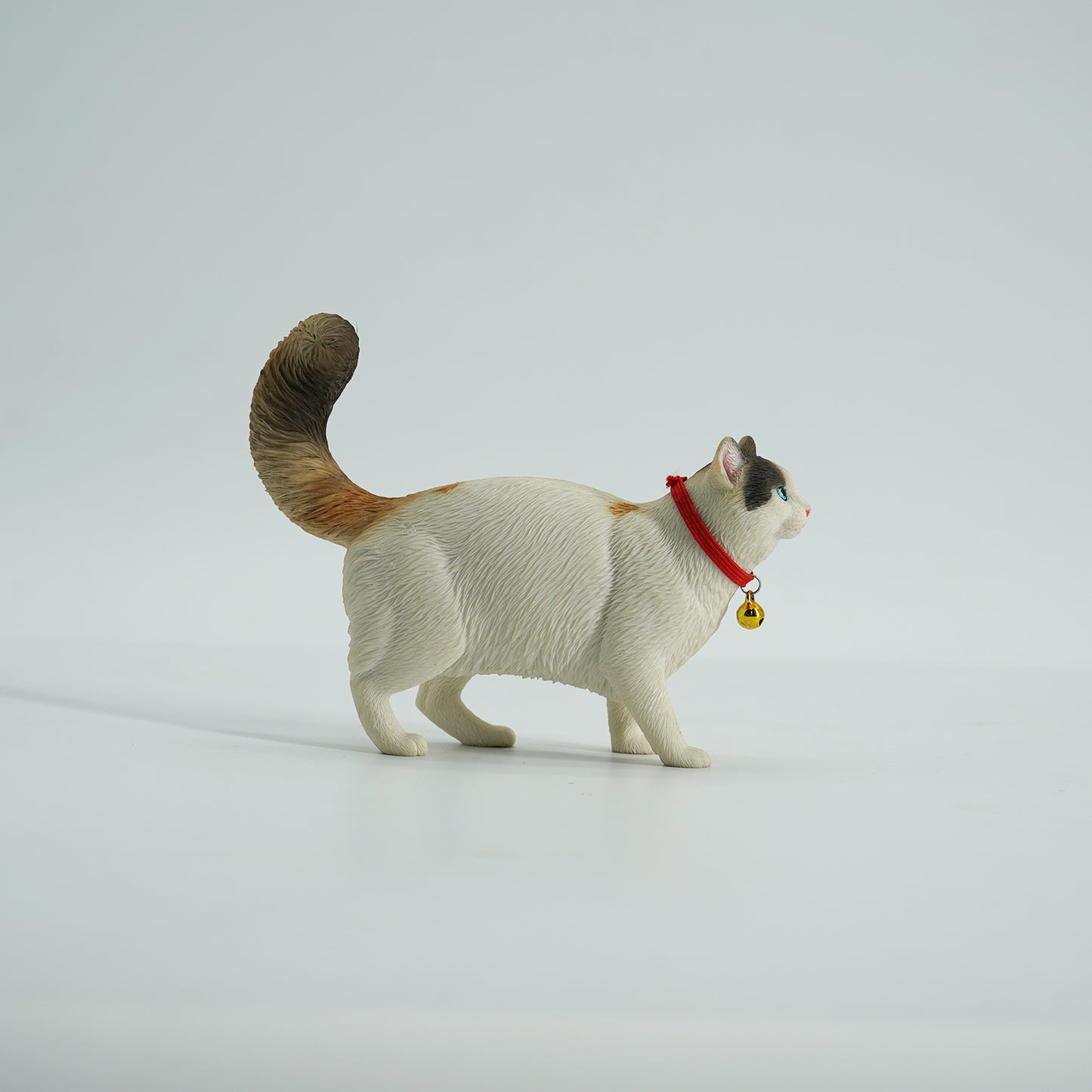 JXK211 1/6Somali cat  from JXK Studio