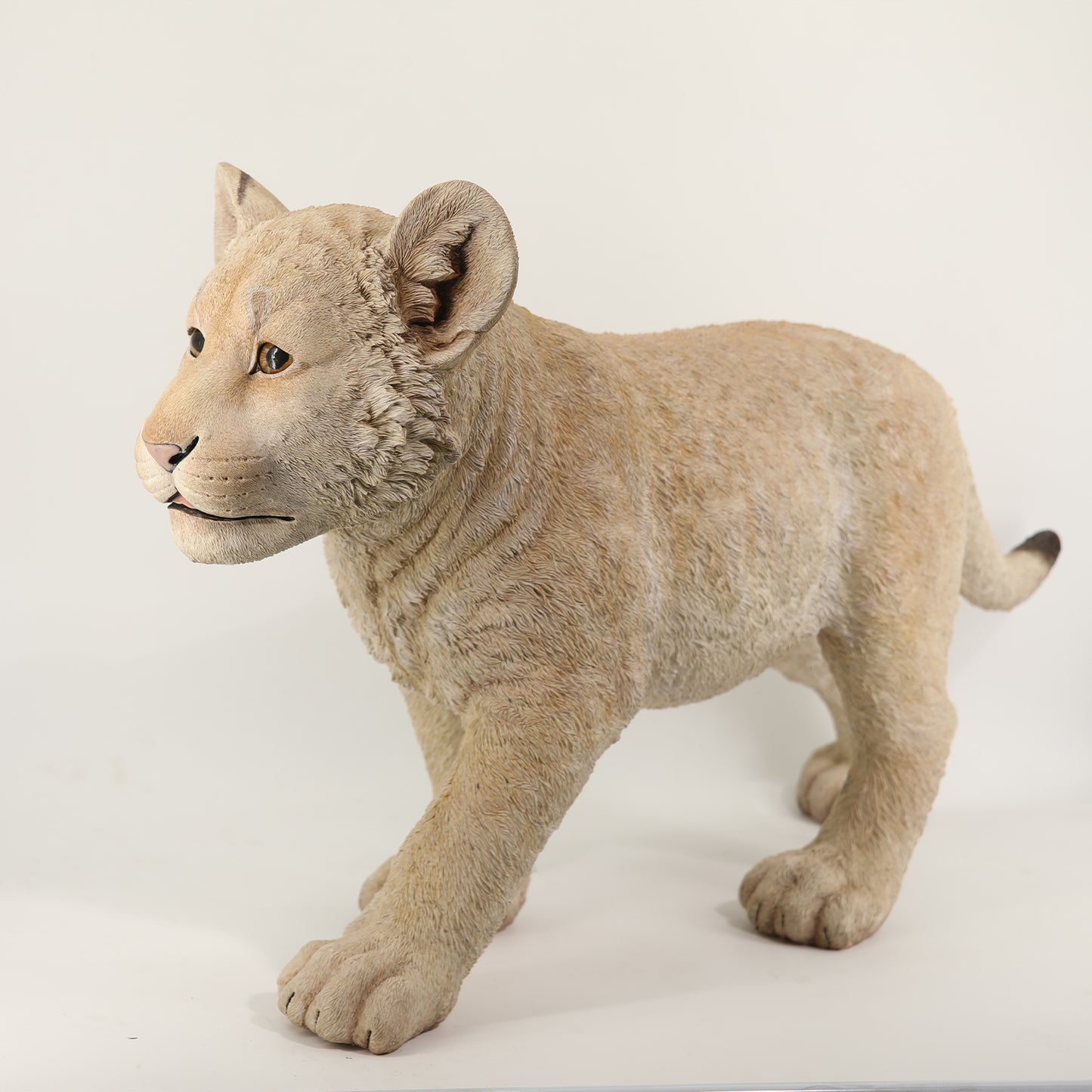 JXK216 1/1Lion  from JXK Studio