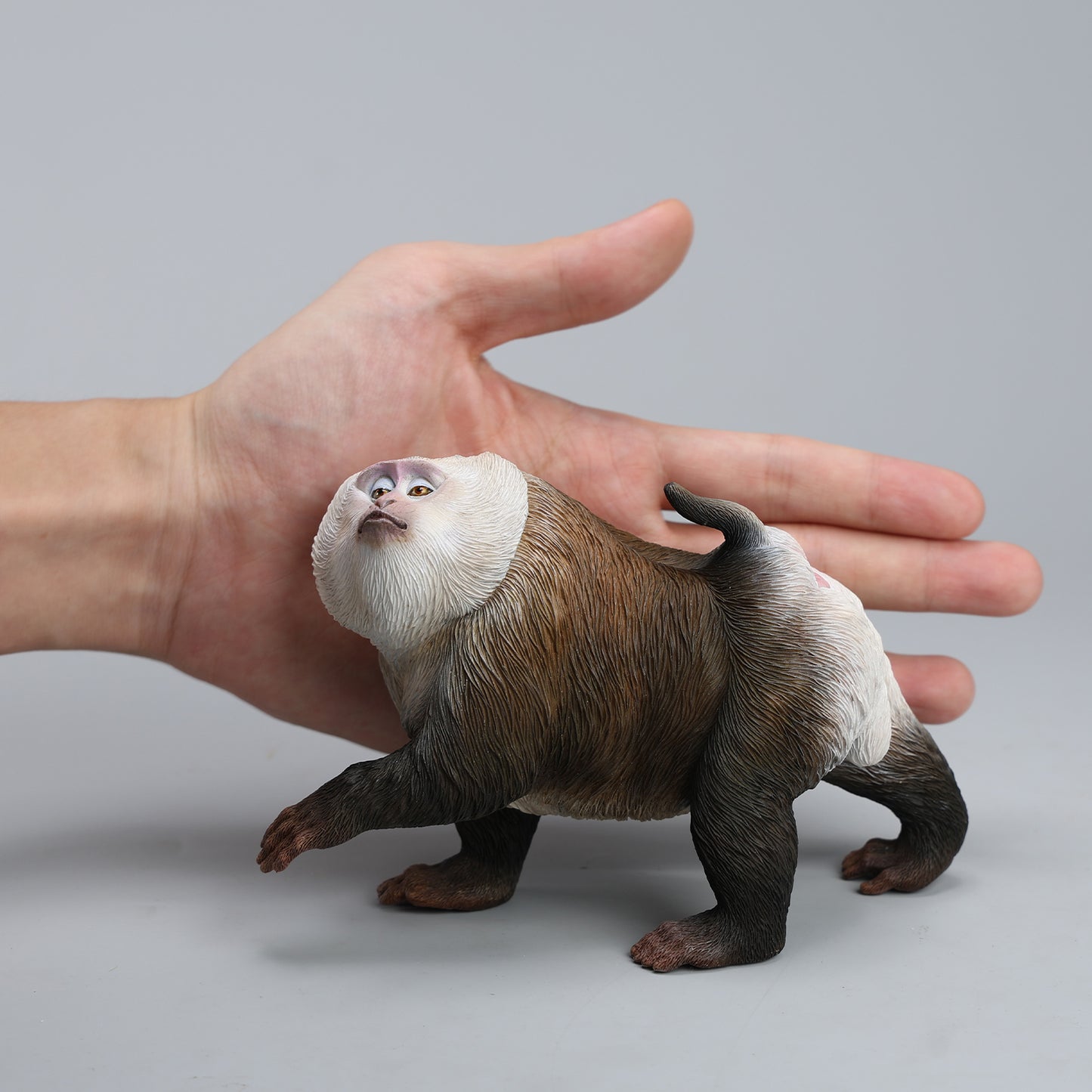 JXK250  1/6 Scale Northern Pigtail Macaque Figurine  from JXK Studio