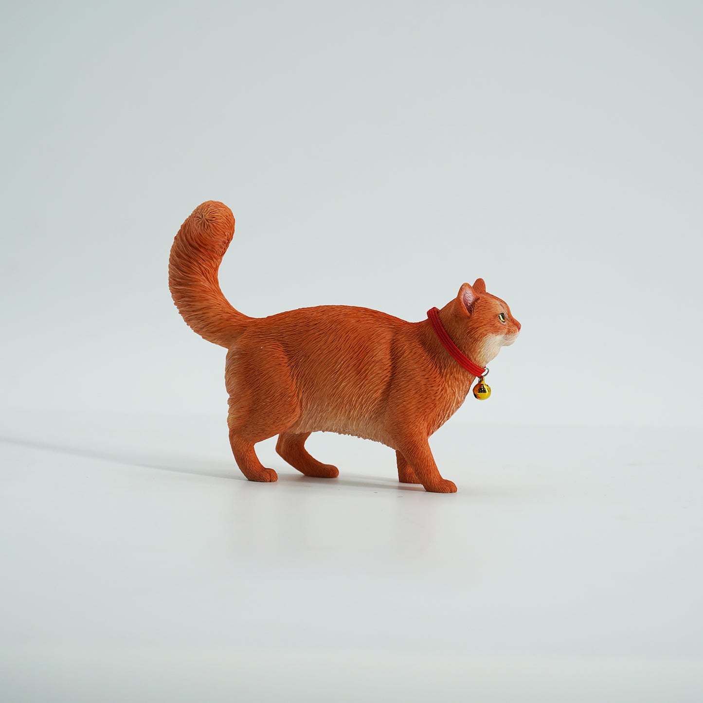 JXK211 1/6Somali cat  from JXK Studio