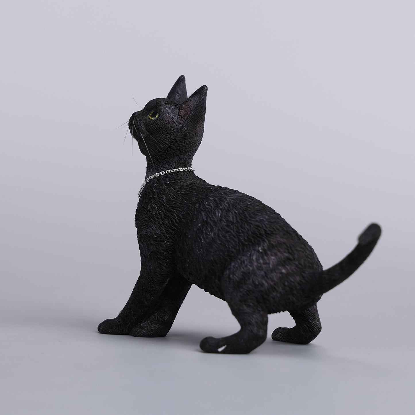 JXK246 1/6 Scale Devon Rex Cat Figurine V4  from JXK Studio