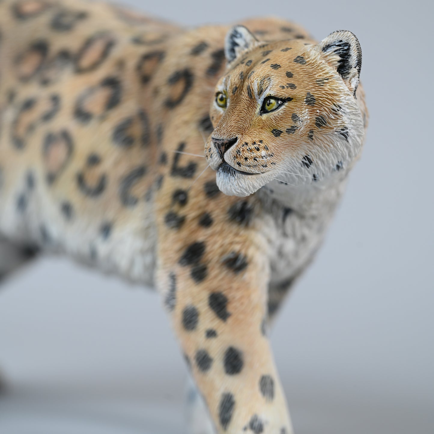 JXK228 1/6Snow leopard  from JXK Studio