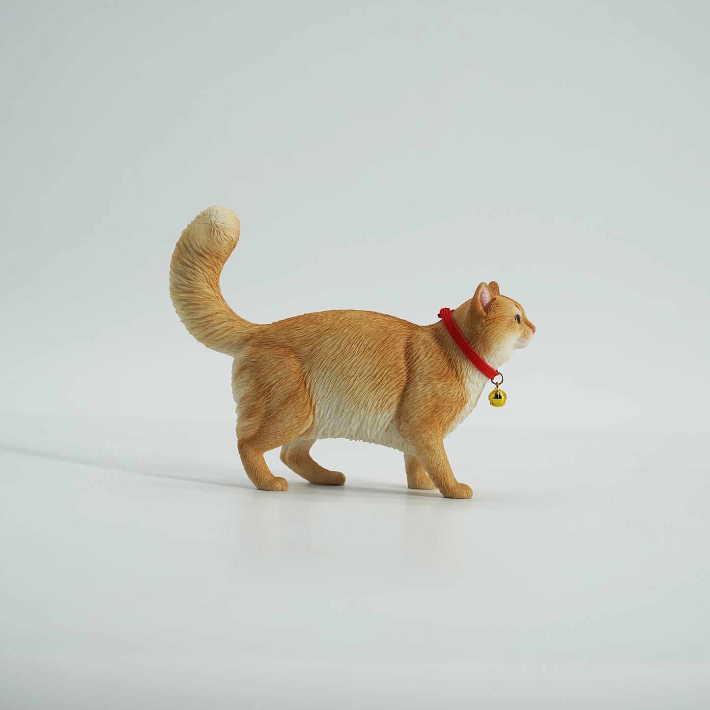 JXK211 1/6Somali cat  from JXK Studio