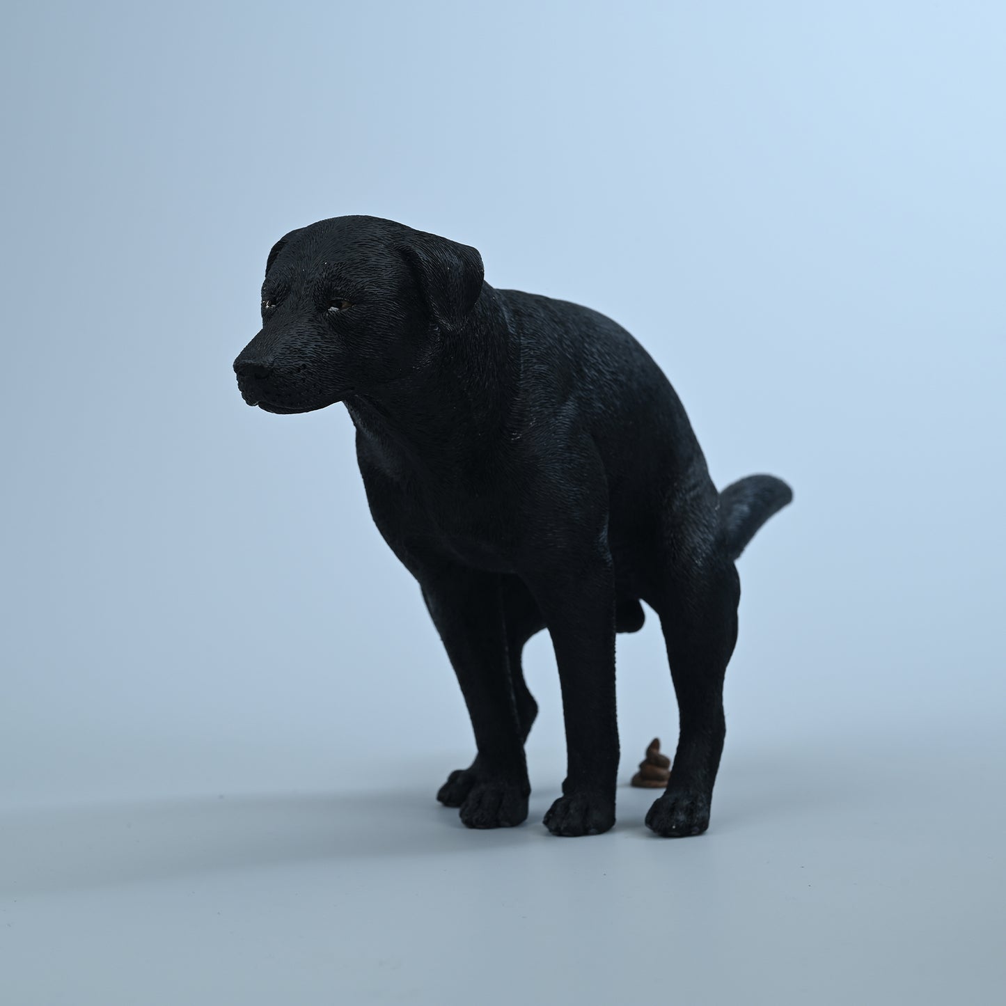 JXK213  1/6Labrador  from JXK Studio