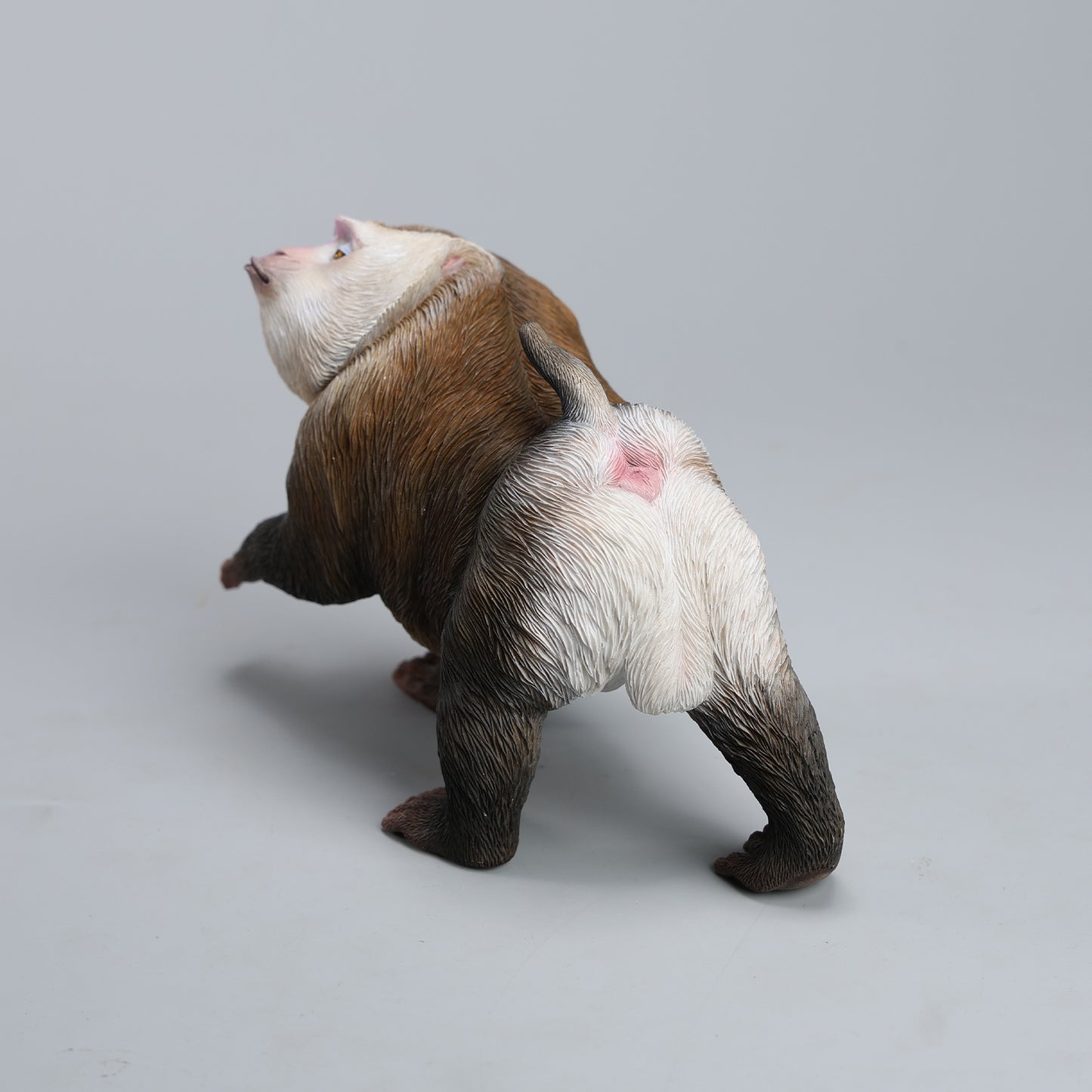 JXK250  1/6 Scale Northern Pigtail Macaque Figurine  from JXK Studio