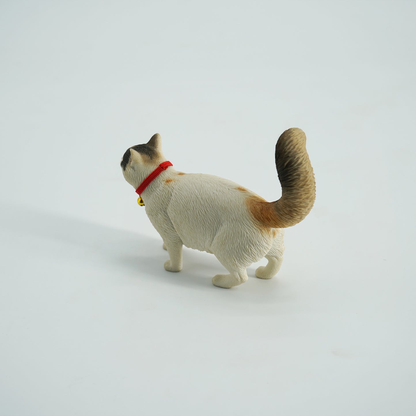 JXK211 1/6Somali cat  from JXK Studio