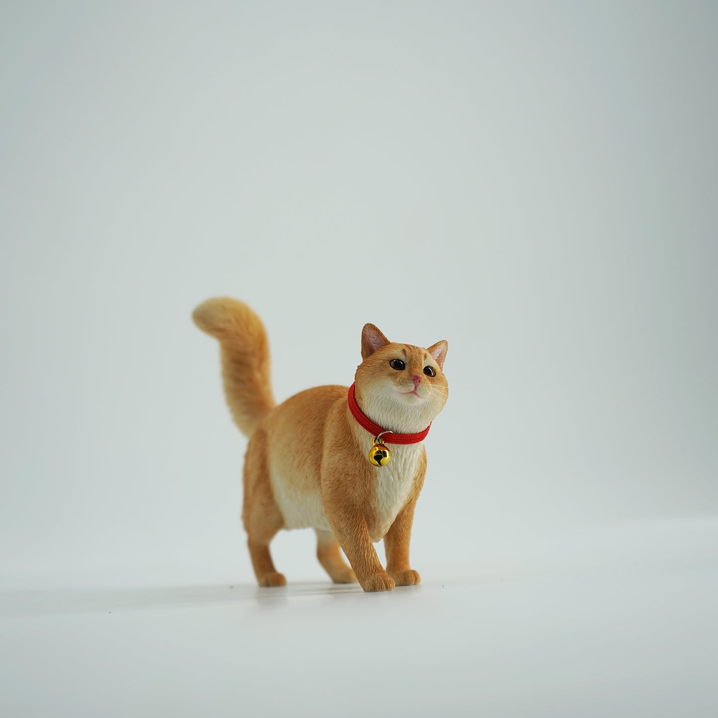 JXK211 1/6Somali cat  from JXK Studio