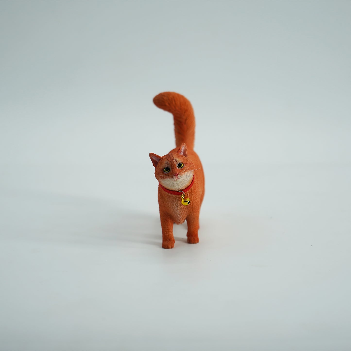 JXK211 1/6Somali cat  from JXK Studio