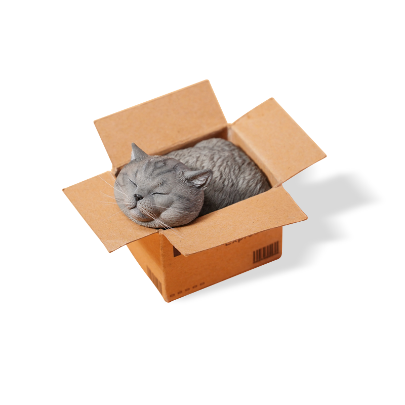 JS2213 Cat Figurine Cat in Box Decor from JXK Studio