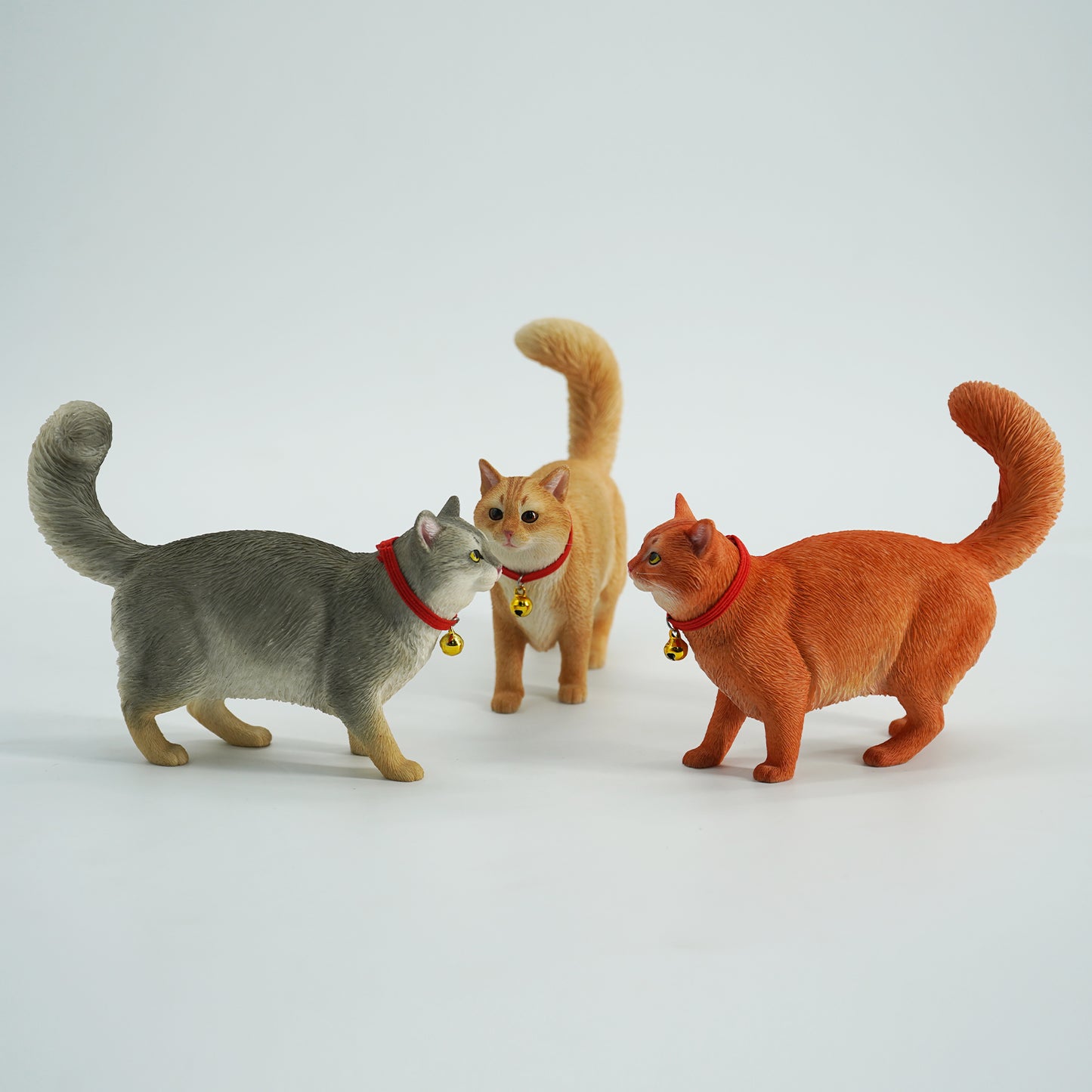 JXK211 1/6Somali cat  from JXK Studio