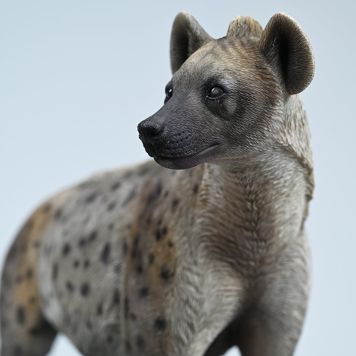 JXK215 1/6Hyena  from JXK Studio