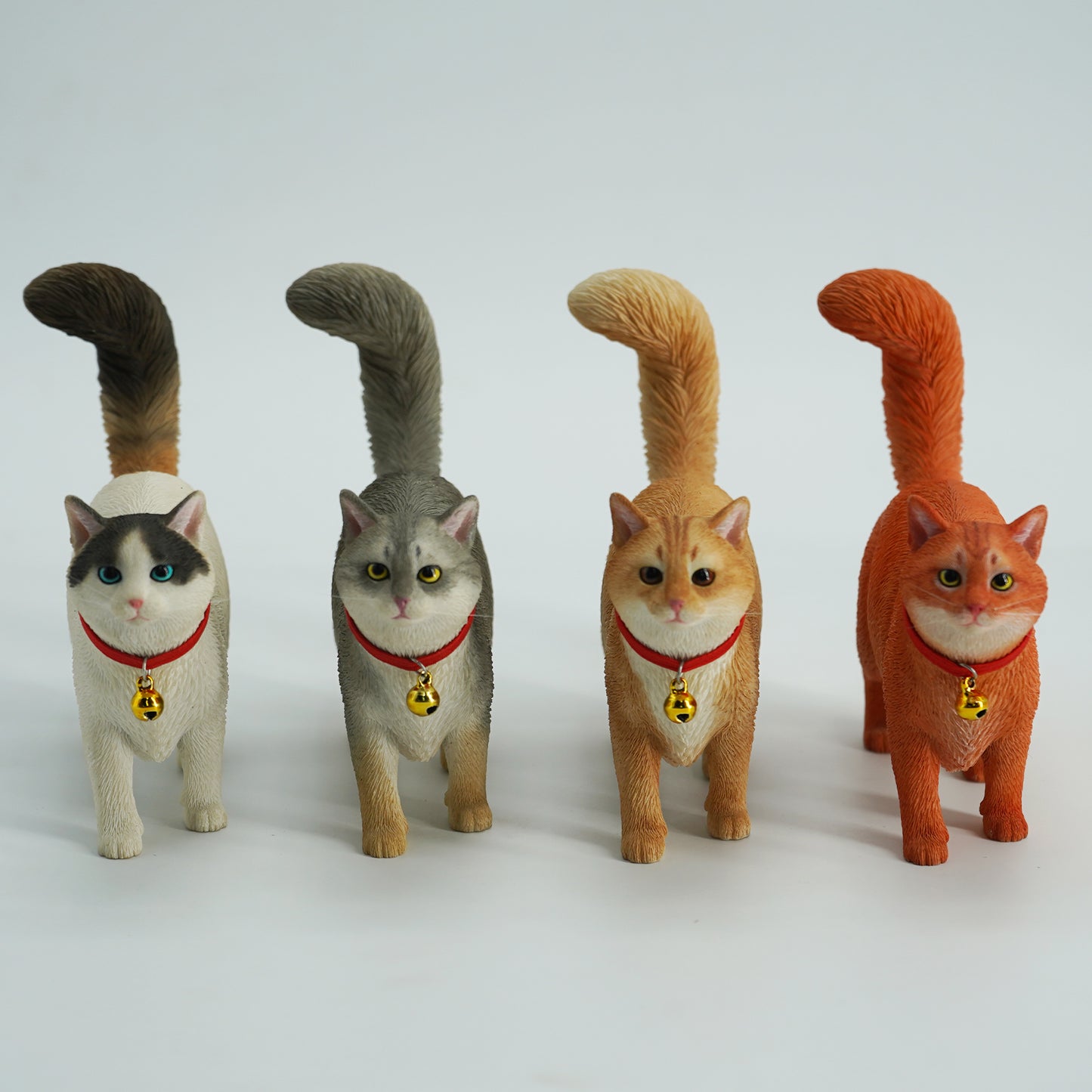 JXK211 1/6Somali cat  from JXK Studio