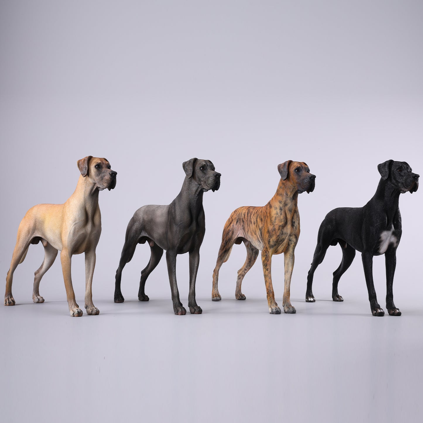 JXK237 1/6 Scale Great Dane Figurine  from JXK Studio