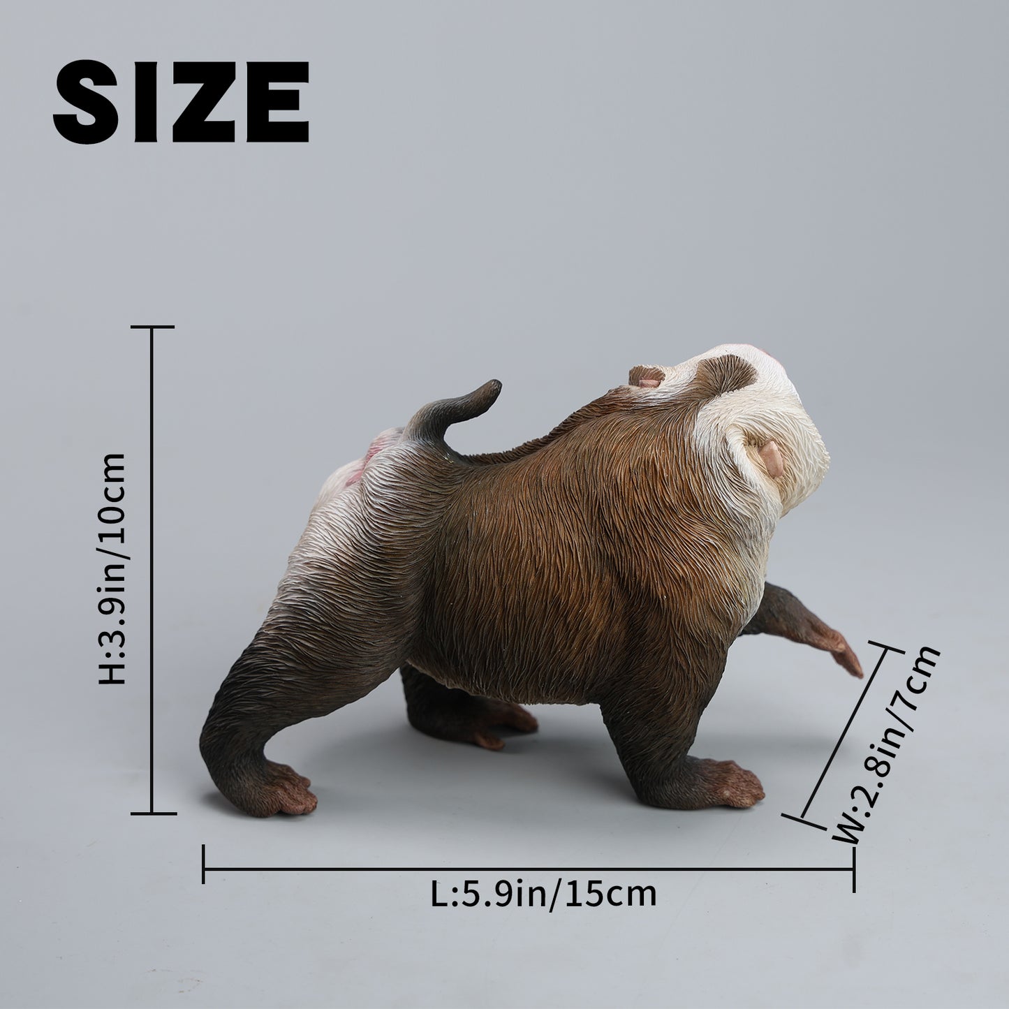 JXK250  1/6 Scale Northern Pigtail Macaque Figurine  from JXK Studio