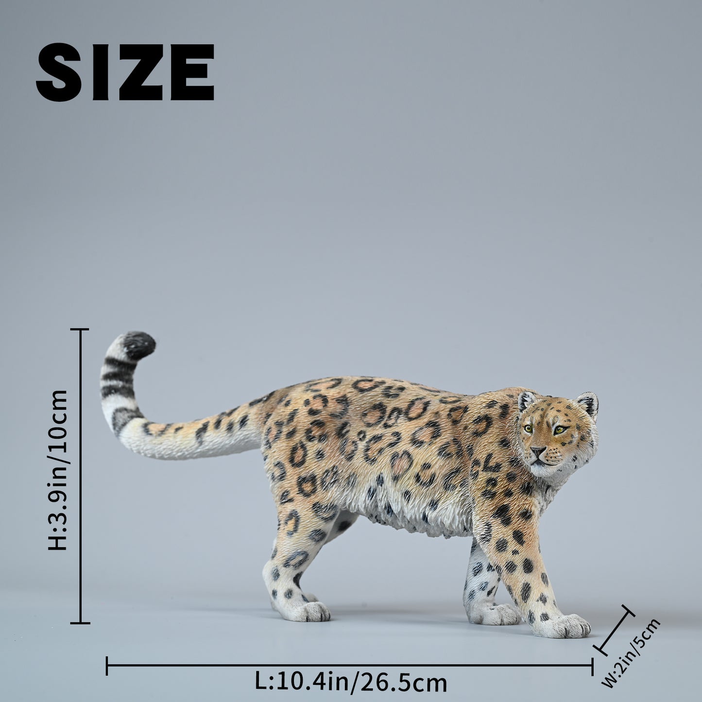 JXK228 1/6Snow leopard  from JXK Studio