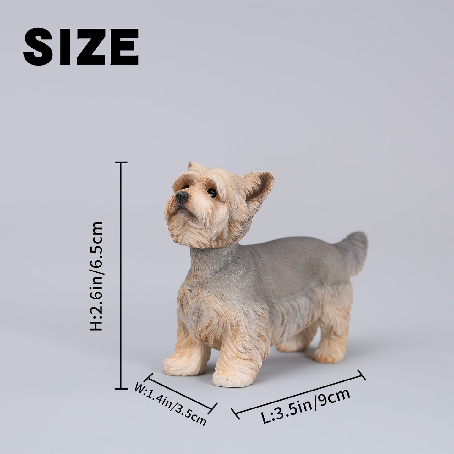 JXK229 1/6 Yorkshire Terrier FigurineProduct JXK Studio出品