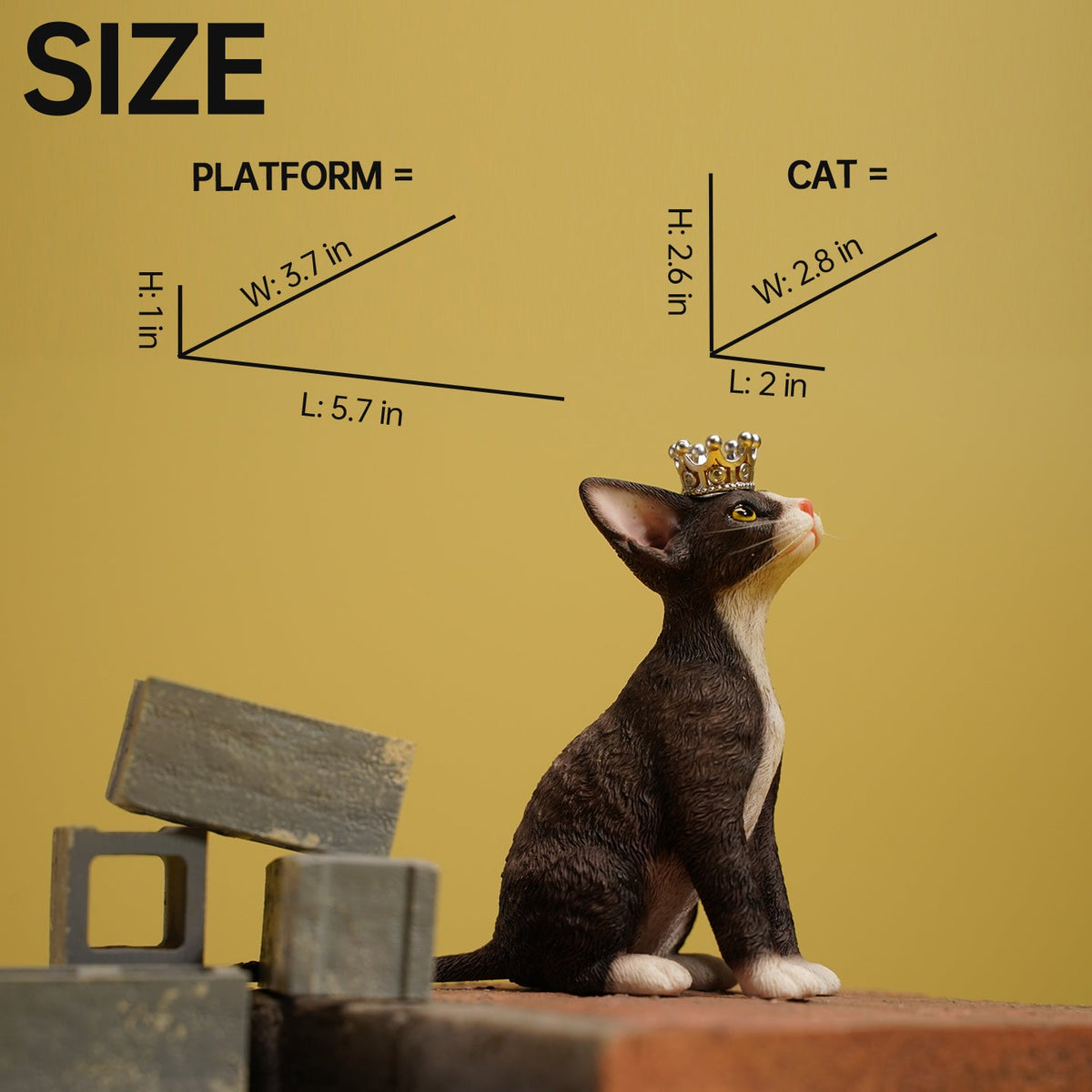 JXK123B 1/6 Devon Rex Cat with Crown and Display Base - product image 5