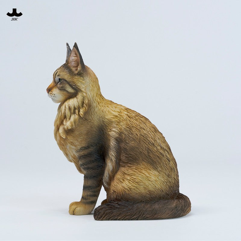JXK364 Pre-sale Sitting upright Maine Coon Cat from JXK Studio