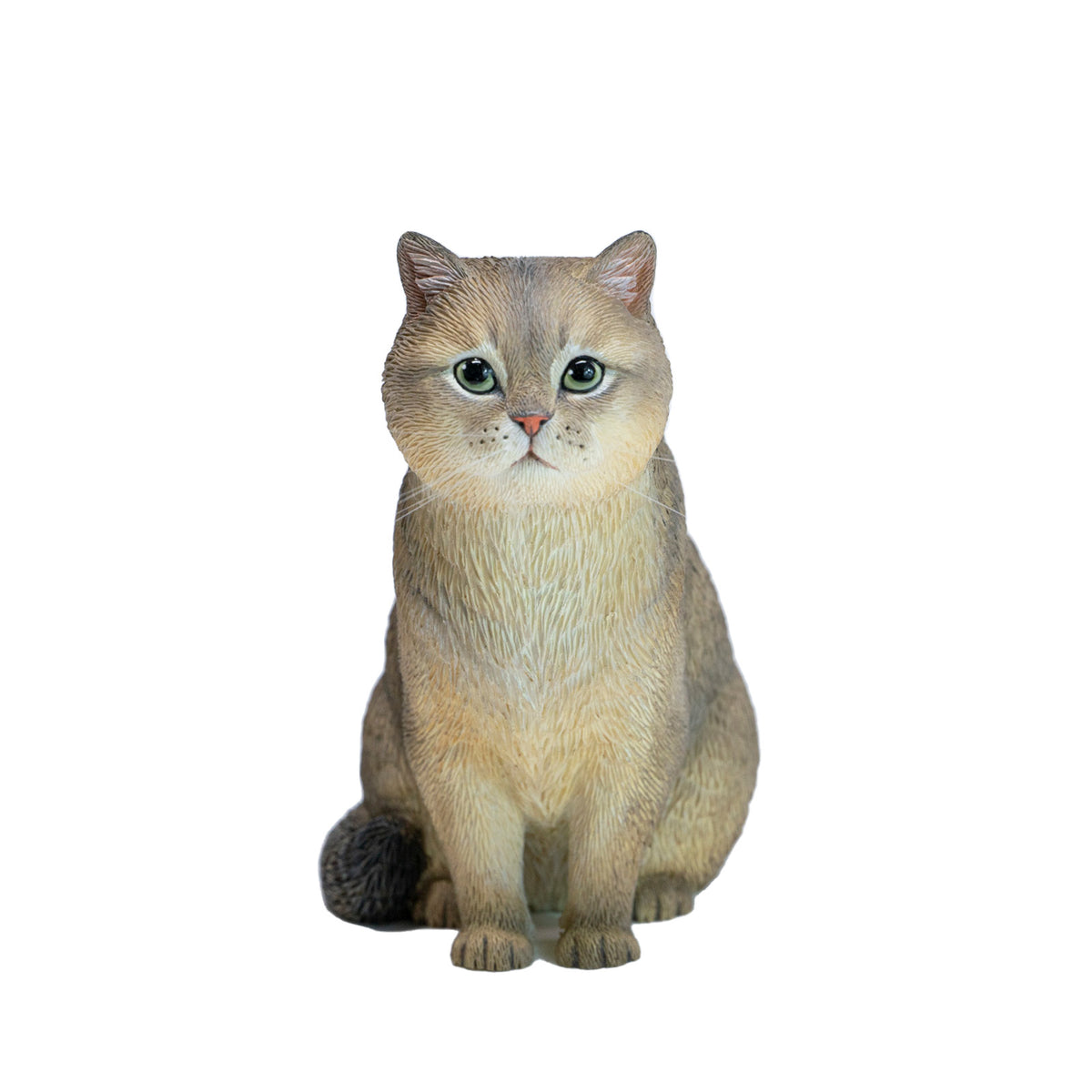 JXK British Shorthair Resin Cat Figurine — JXK382C — product view
