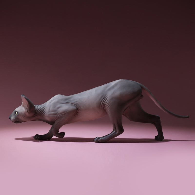 MRZ042 Canadian Sphinx Cat statue from JXK Studio