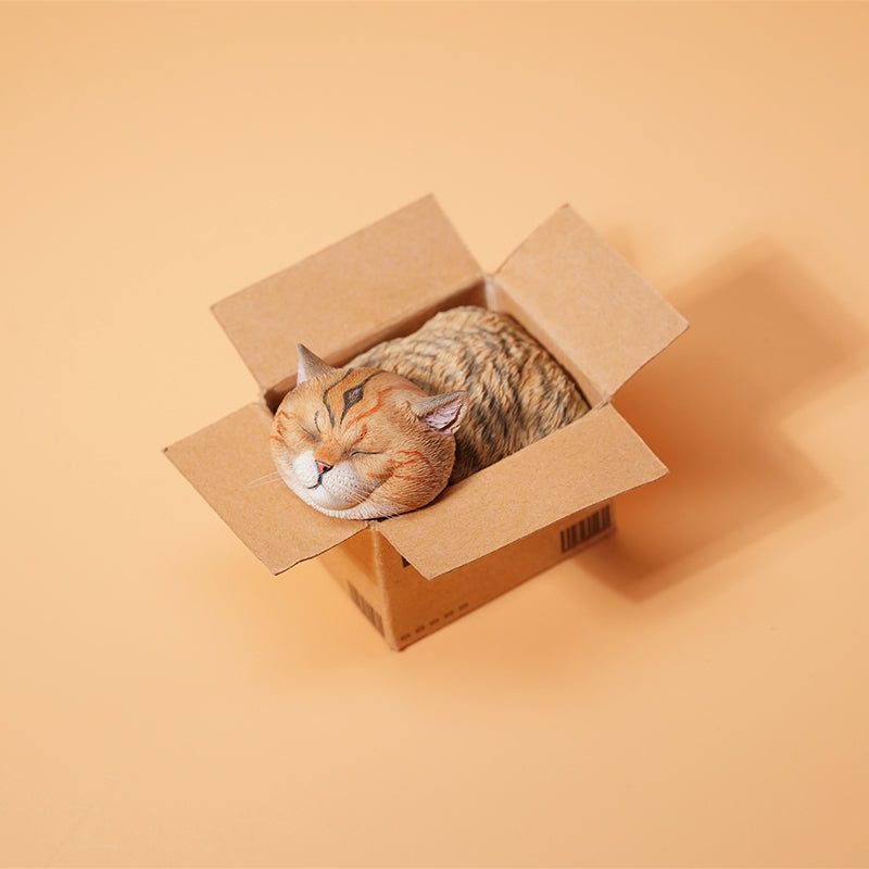 JS2213 Cat Figurine Cat in Box Decor from JXK Studio