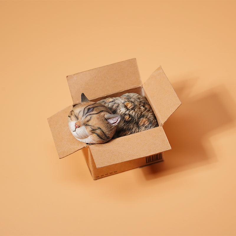 JS2213 Cat Figurine Cat in Box Decor from JXK Studio