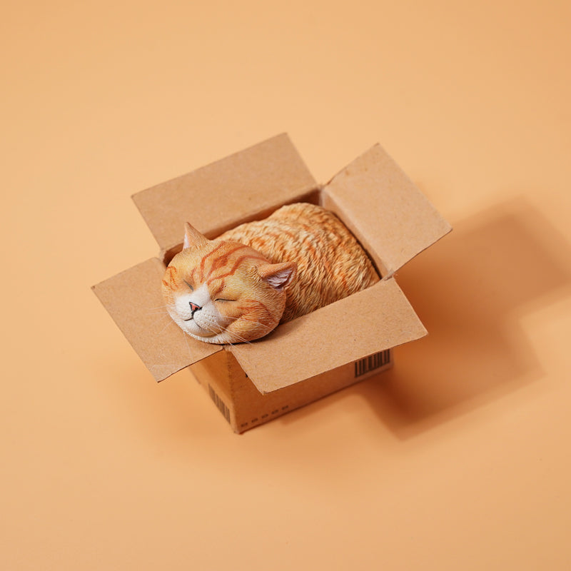 JS2213 Cat Figurine Cat in Box Decor from JXK Studio